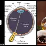 Cataract Surgery – How To Choose The Best Eye Care Center?